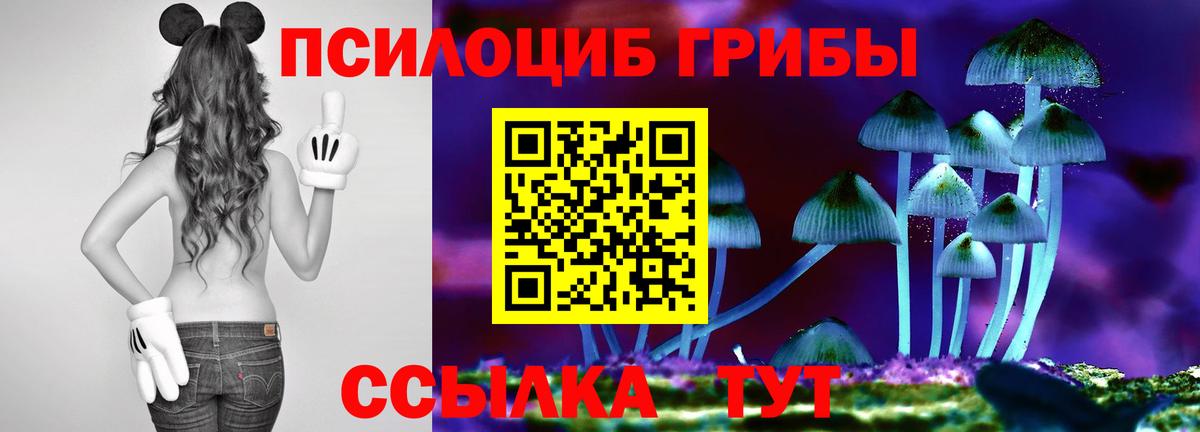 Галлюциногенные грибы MAGIC MUSHROOMS Балашов